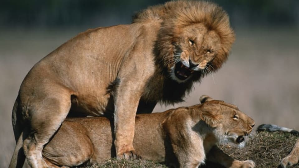FOTO: Thinkstock